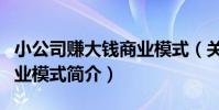 小公司賺大錢商業模式(關于小公司賺大錢商業模式簡介)