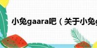 小兔gaara吧(關于小兔gaara吧簡介)