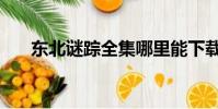 東北謎蹤全集哪里能下載(東北謎蹤)
