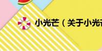 小光芒(關于小光芒簡介)