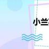 小蘭英（關于小蘭英簡介）