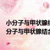 小分子與甲狀腺結合前清蛋白結合模式的理論研究（關于小分子與甲狀腺結合前清蛋白結合模式的理論研究簡介）