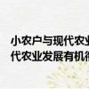 小農戶與現代農業發展有機銜接路徑探究（關于小農戶與現代農業發展有機銜接路徑探究簡介）