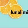 lunalimited官網（luna limited）