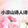 小涼山詩人詩選（關于小涼山詩人詩選簡介）