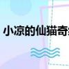 小涼的仙貓奇緣（關于小涼的仙貓奇緣簡介）