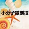 小分子微創技術（關于小分子微創技術簡介）