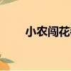 小農闖花都（關于小農闖花都簡介）