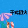 干式阻火器（關于干式阻火器介紹）