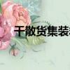 干散貨集裝箱（關于干散貨集裝箱介紹）
