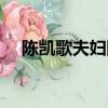 陳凱歌夫婦同框照片（陳凱歌夫婦同框）