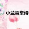 小蘭雪堂詩集（關于小蘭雪堂詩集簡介）