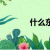 什么東東安又琪（什么東東）