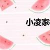 小凌家村（關于小凌家村簡介）