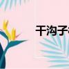 干溝子村（關于干溝子村介紹）