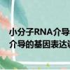 小分子RNA介導的基因表達調控 導讀版（關于小分子RNA介導的基因表達調控 導讀版簡介）
