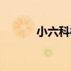 小六科村（關于小六科村簡介）