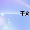 干文斌（關于干文斌介紹）