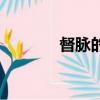 督脈的位置圖（督脈的位置）