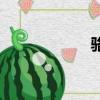 駱蕾野薔薇（駱蕾）