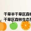 干旱半干旱區森林生態系統定位觀測指標體系（關于干旱半干旱區森林生態系統定位觀測指標體系介紹）