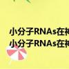 小分子RNAs在神經干細胞分化中表達與功能的研究（關于小分子RNAs在神經干細胞分化中表達與功能的研究簡介）