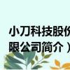 小刀科技股份有限公司（關于小刀科技股份有限公司簡介）