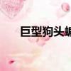 巨型狗頭蝙蝠叫什么（巨型狗頭蝙蝠）