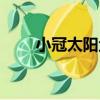 小冠太陽魚（關于小冠太陽魚簡介）