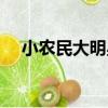 小農民大明星（關于小農民大明星簡介）
