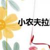小農夫拉比（關于小農夫拉比簡介）