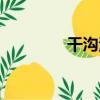 干溝河（關于干溝河介紹）