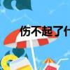 傷不起了什么意思（傷不起什么意思）