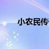小農民傳奇（關于小農民傳奇簡介）