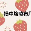 揚中熔噴布廠家集中在哪里（揚中熔噴布）
