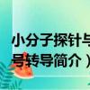 小分子探針與信號轉導（關于小分子探針與信號轉導簡介）