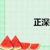 正深投資集團（深正互聯）