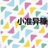 小準異糠蝦（關于小準異糠蝦簡介）