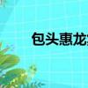 包頭惠龍集團有限公司（包頭惠龍）