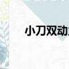 小刀雙動力（關于小刀雙動力簡介）