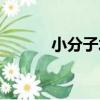 小分子水（關于小分子水簡介）