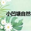 小凹塘自然村（關于小凹塘自然村簡介）