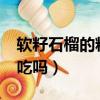 軟籽石榴的籽可以吃嗎?（軟籽石榴的籽可以吃嗎）