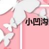 小凹溝口（關于小凹溝口簡介）
