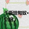 干斯坦甸奴·帕諾斯（關于干斯坦甸奴·帕諾斯介紹）