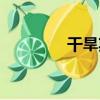 干旱期（關于干旱期介紹）