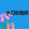 小刀形指環蟲（關于小刀形指環蟲簡介）