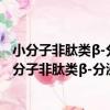 小分子非肽類β-分泌酶抑制劑的設計、合成和優化（關于小分子非肽類β-分泌酶抑制劑的設計、合成和優化簡介）