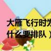 大雁飛行時為什么要排隊飛行（大雁飛行時為什么要排隊）
