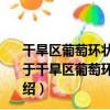 干旱區葡萄環狀毛細芯滲灌的供水特征與節水效果研究（關于干旱區葡萄環狀毛細芯滲灌的供水特征與節水效果研究介紹）